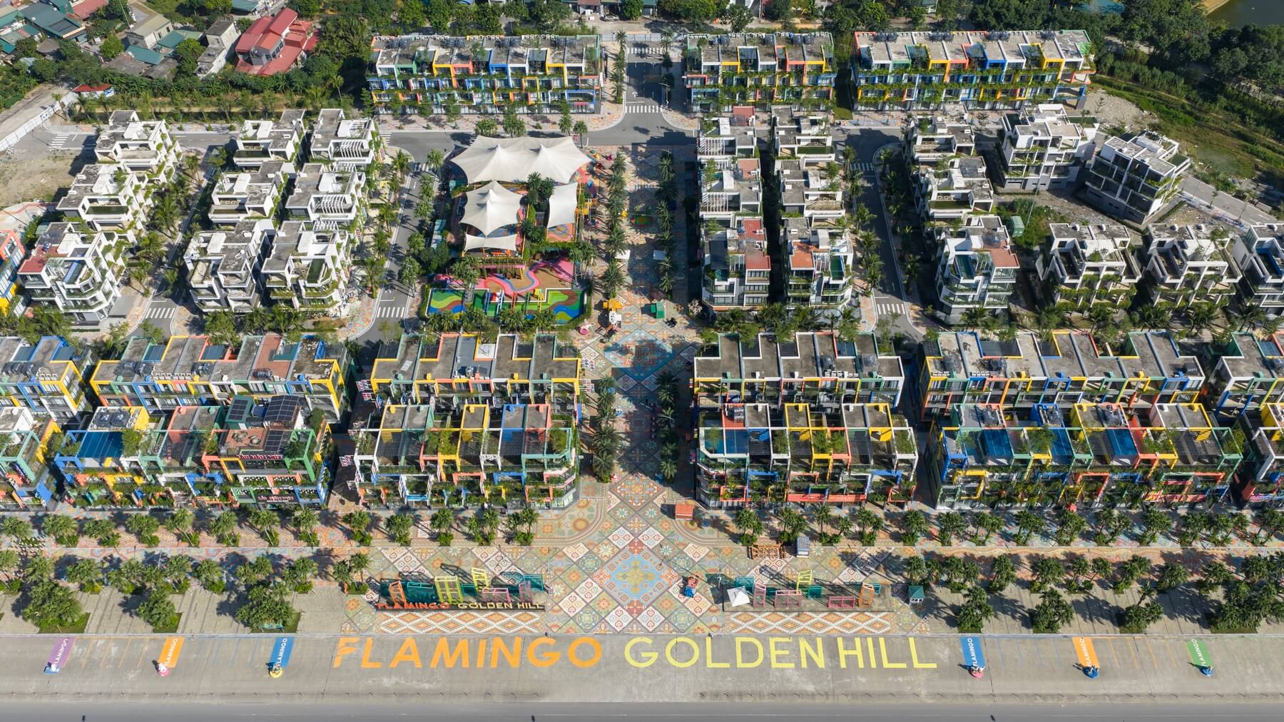 Flamingo Golden Hill