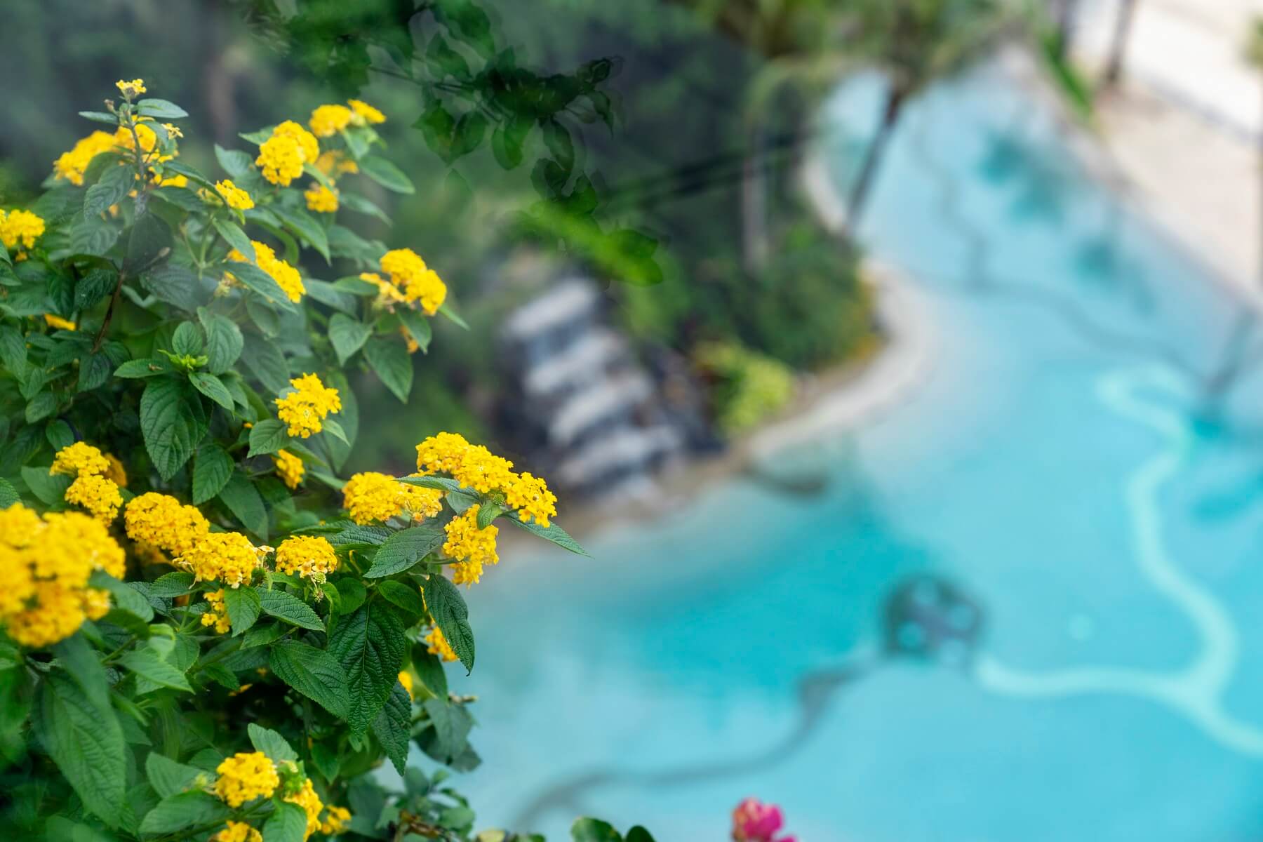 Flamingo Cát Bà Resorts